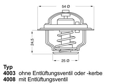 Thermostat, coolant BorgWarner (Wahler) 4008.79D