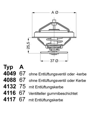 BorgWarner (Wahler) 4088.87D Thermostat, coolant