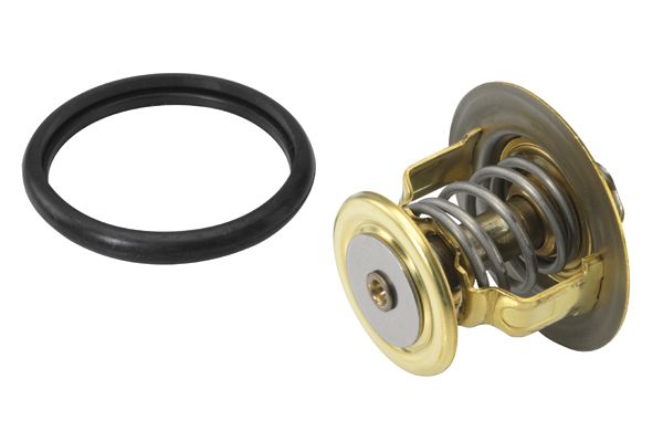 BorgWarner (Wahler) 410131.88D Thermostat, coolant