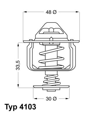 BorgWarner (Wahler) 4103.82D Thermostat, coolant