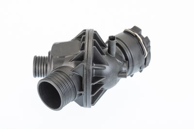 Thermostat, coolant BorgWarner (Wahler) 410795.103D