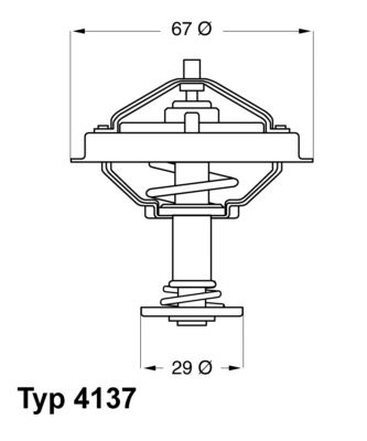 Thermostat, coolant BorgWarner (Wahler) 4137.80D