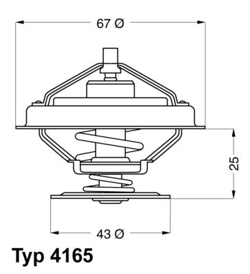 Thermostat, coolant BorgWarner (Wahler) 4165.79D