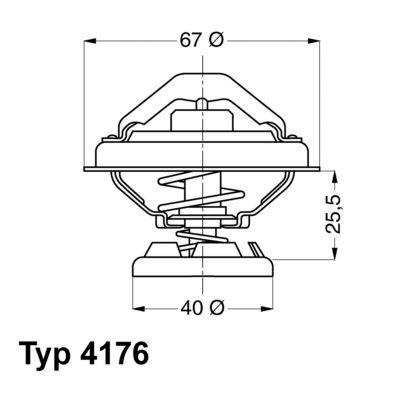 Thermostat, coolant BorgWarner (Wahler) 4176.70D