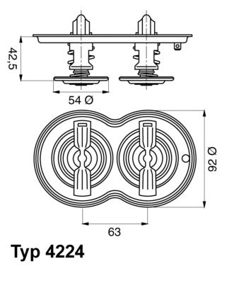 Thermostat, coolant BorgWarner (Wahler) 4224.80D