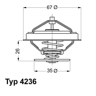 BorgWarner (Wahler) 4236.88D Thermostat, coolant