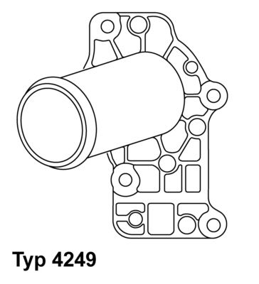 Thermostat, coolant BorgWarner (Wahler) 4249.83D