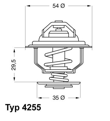 Thermostat, coolant BorgWarner (Wahler) 4255.82D