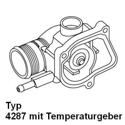 BorgWarner (Wahler) 4287.92D Thermostat, coolant