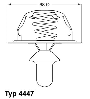 Thermostat, coolant BorgWarner (Wahler) 4447.80D