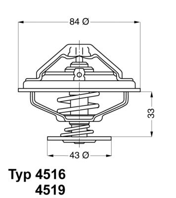 BorgWarner (Wahler) 4516.85D Thermostat, coolant