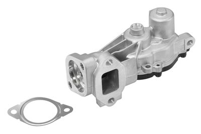 EGR Valve BorgWarner (Wahler) 710625D