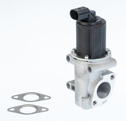 BorgWarner (Wahler) 710774D/1 EGR Valve