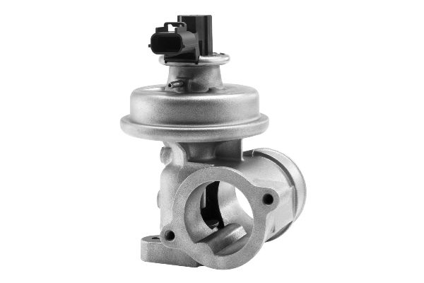 BorgWarner (Wahler) 710923R EGR Valve