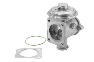 EGR Valve BorgWarner (Wahler) 710924R