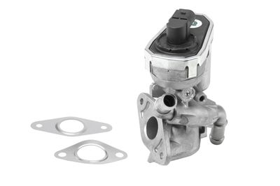 EGR Valve BorgWarner (Wahler) 710941R