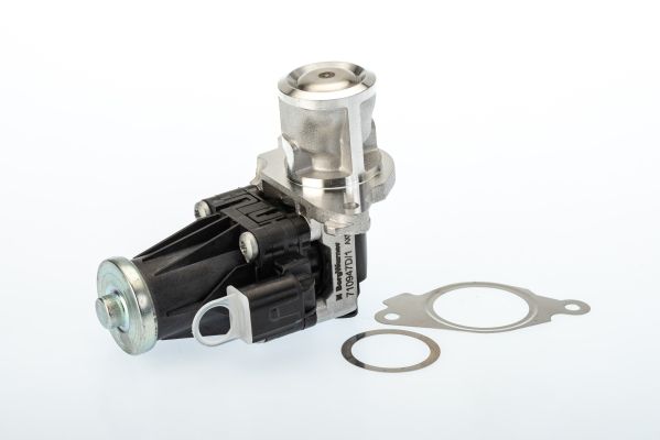 BorgWarner (Wahler) 710947D EGR Valve