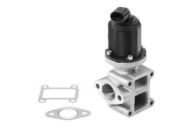 EGR Valve BorgWarner (Wahler) 710954R