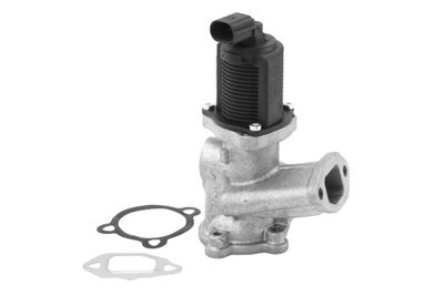 EGR Valve BorgWarner (Wahler) 710958R