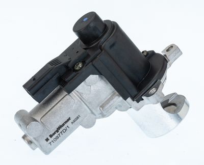 EGR Valve BorgWarner (Wahler) 710977D/1