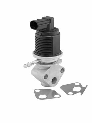 EGR Valve BorgWarner (Wahler) 712055D