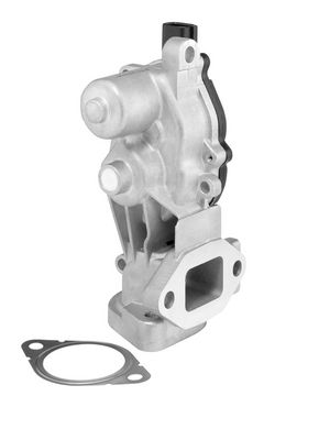 EGR Valve BorgWarner (Wahler) 712074D