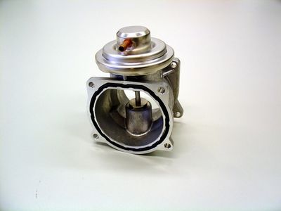 EGR Valve BorgWarner (Wahler) 7268D