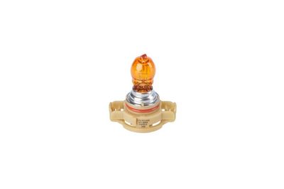 Bulb BOSCH 1 987 302 267