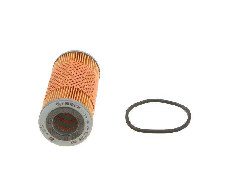 BOSCH F 026 407 266 Oil Filter