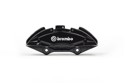 Brake Caliper Axle Kit BREMBO F AL D22