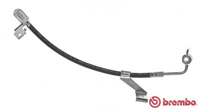 Brake Hose BREMBO T 24 076