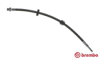 Brake Hose BREMBO T 24 117