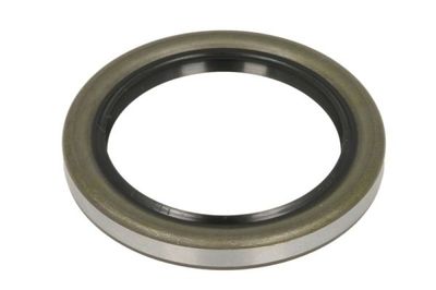 Shaft Seal, wheel bearing BTA 47000504BTA
