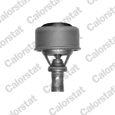 Thermostat, coolant CALORSTAT by Vernet TH4495.89