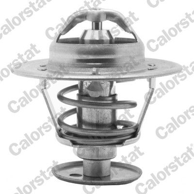 Thermostat, coolant CALORSTAT by Vernet TH5981.89J