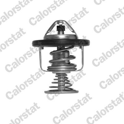 Thermostat, coolant CALORSTAT by Vernet TH6876.80J