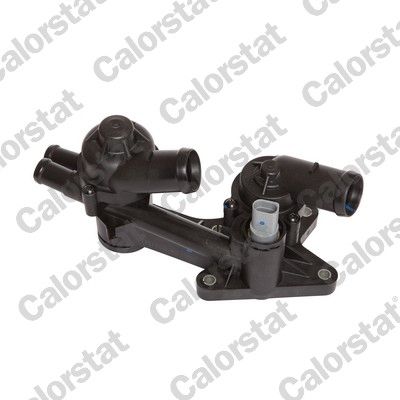 Thermostat, coolant CALORSTAT by Vernet TH7169.80J