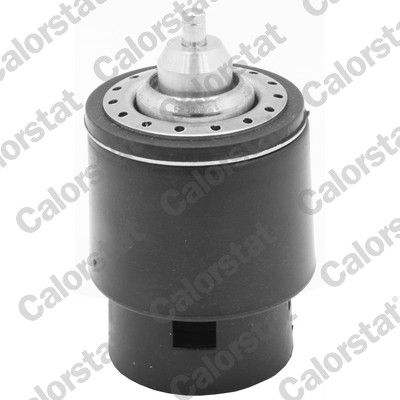 Thermostat, coolant CALORSTAT by Vernet TH7266.105