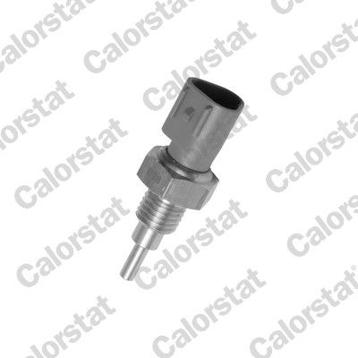 Sensor, coolant temperature CALORSTAT by Vernet WS2938