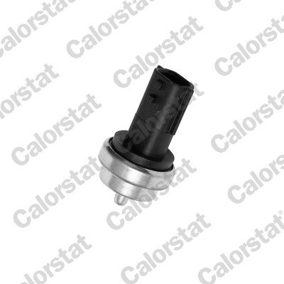 Sensor, coolant temperature CALORSTAT by Vernet WS3019