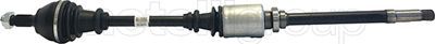 Drive Shaft CIFAM 655-069