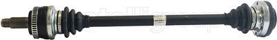 Drive Shaft CIFAM 655-698