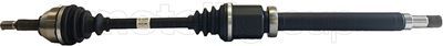 Drive Shaft CIFAM 655-843