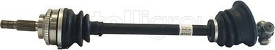 Drive Shaft CIFAM 655-865