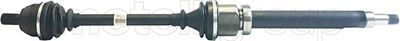 Drive Shaft CIFAM 655-885