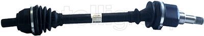 Drive Shaft CIFAM 655-907