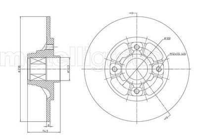 Brake Disc CIFAM 800-383