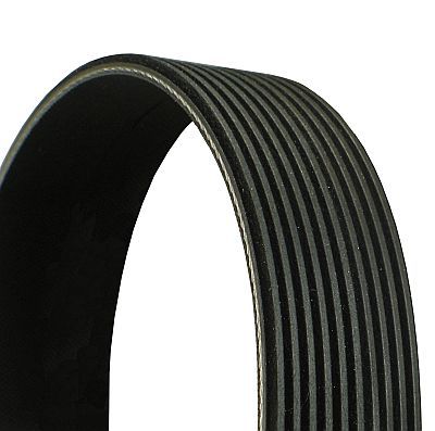 V-Ribbed Belt CONTINENTAL CTAM 10PK1136