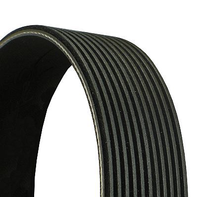 V-Ribbed Belt CONTINENTAL CTAM 11PK2020