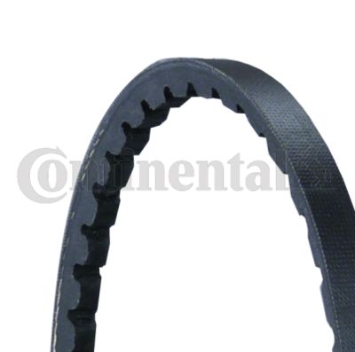 V-Belt Set CONTINENTAL CTAM 2XAVX10X1000